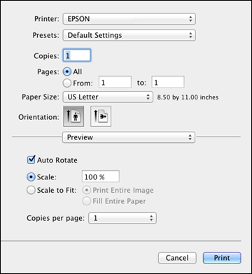 increase the paper size in word for mac
